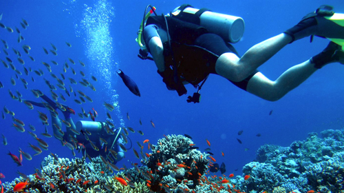 Pêche, aquaculture et corail