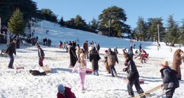 Chréa : Deux millions de touristes visitent la région annuellement