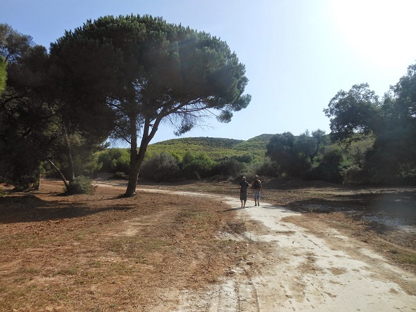 AÏN-TÉMOUCHENT : Aménagement de plusieurs forêts pour les éventuels investisseurs