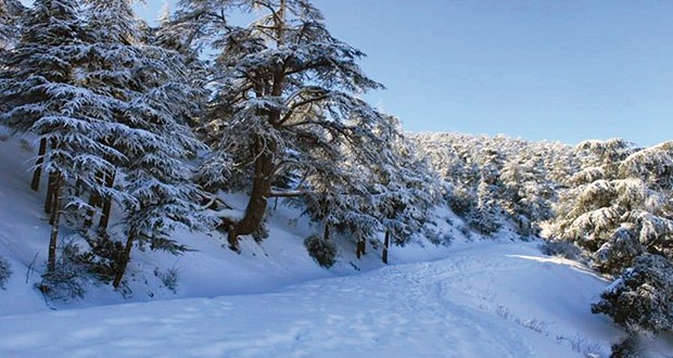 À l’Est et au Centre du pays : Chutes de neige sur les hauteurs dépassant les 800 m