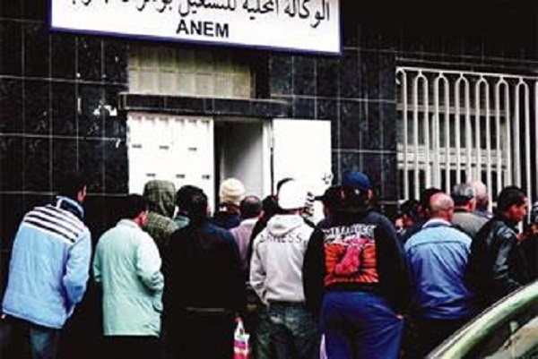 Contrat pré-emploi : Des failles dans le dispositif