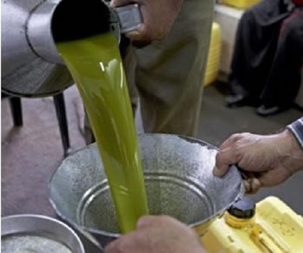 Huile d&rsquo;olive : Les prix au plus haut cette année