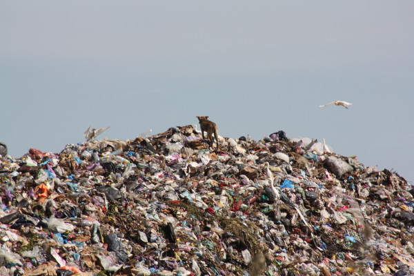 La pollution atteint un seuil critique