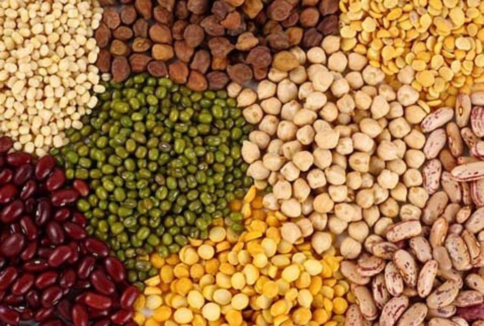 Culture des légumes secs à Mila : Plus de 5 500 hectares réservés