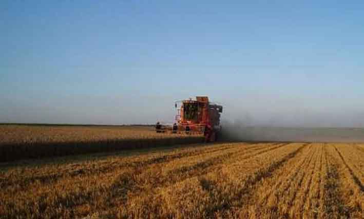 Trois nouvelles résolutions de l&rsquo;ONU : La FAO salue les décisions relatives à l&rsquo;agriculture et la pêche