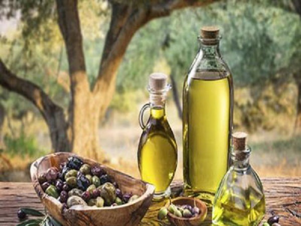 Production d&rsquo;huile d&rsquo;olive : L&rsquo;exportation entravée par l&rsquo;absence de traçabilité