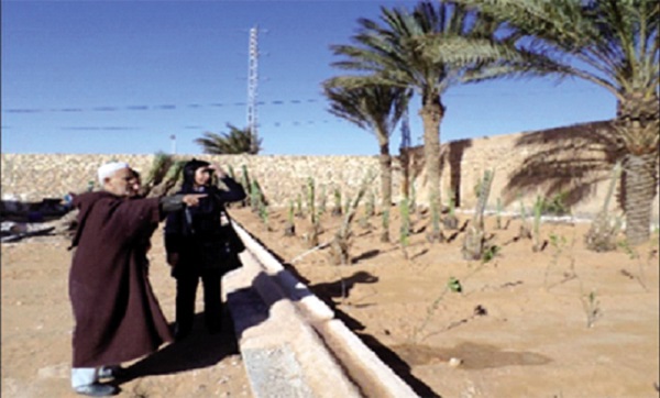 Ghardaïa : La wilaya récupère plus de 20 000 ha