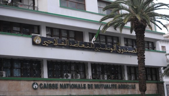 Ghazaouet: La pêche aux assurances