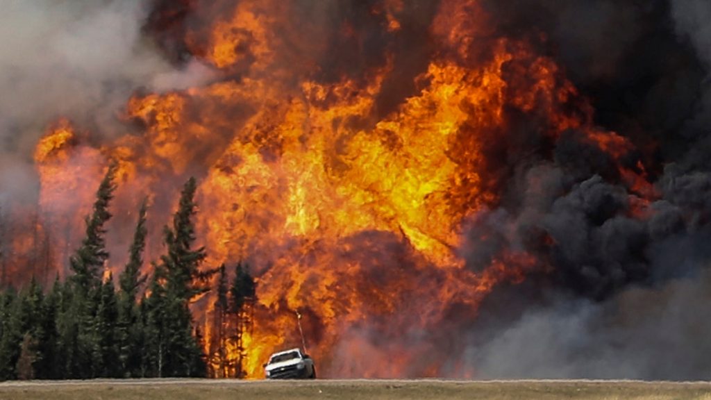 Feux de forêt : La superficie ravagée par les flammes a triplé en 2017