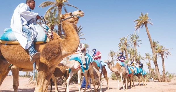 Alors que le pnud fait la promotion du sud algérien : Les agences de tourisme et de voyages butent sur le problème de visa