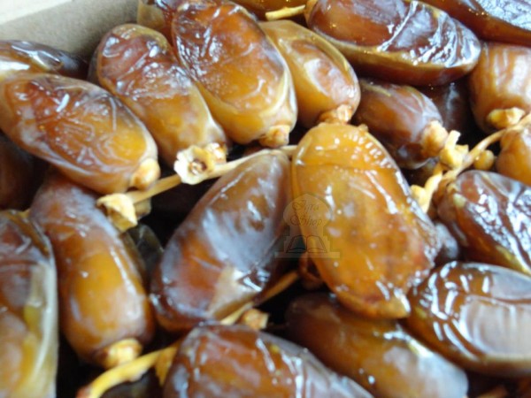 1.000 tonnes de dattes Algériennes exportées depuis le début de la pandémie Covid-19