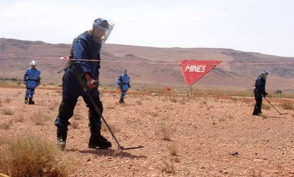 Mines antipersonnel/Convention d’Ottawa: l’Algérie félicitée à Vienne