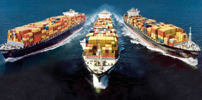 Licences d’importations : La critique des experts
