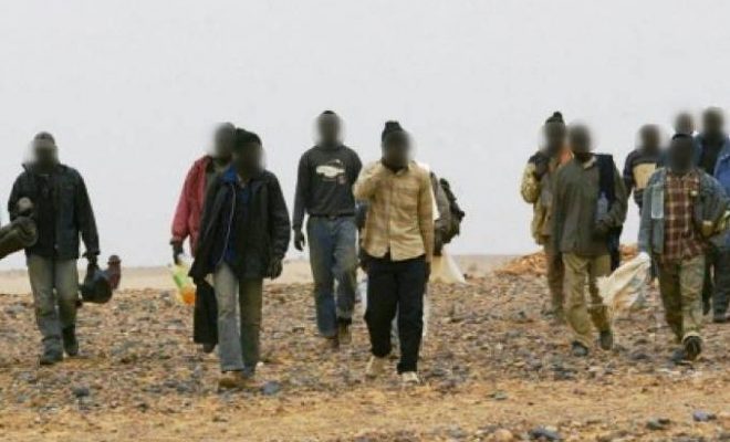 Biskra : arrestation de 13 migrants clandestins