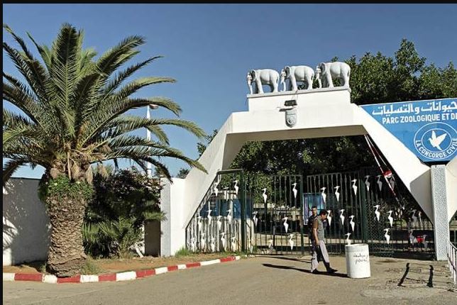 Parc Zoologique de Benaknoun : L’APW d’Alger-centre demande la gestion du parc