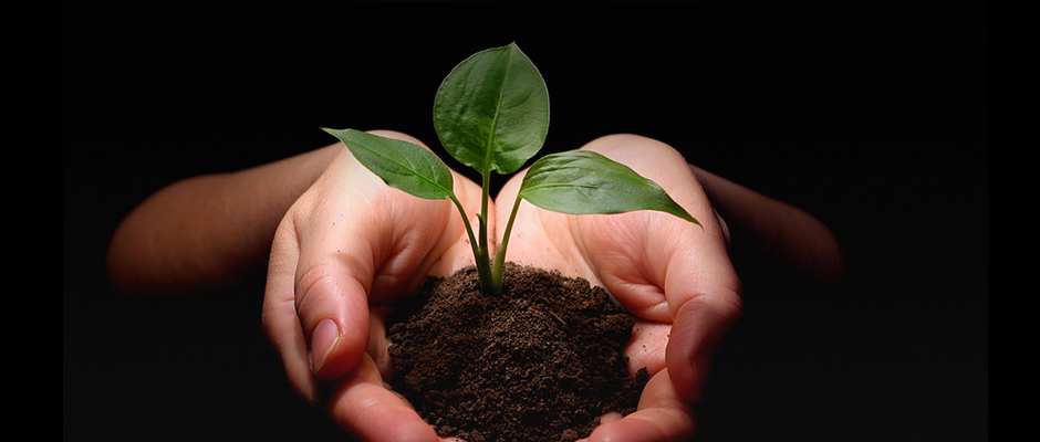 Illizi : atelier d’évaluation du projet national de la préservation de la biodiversité