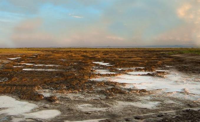 Terres salines : la Chine nous fait don de son expertise