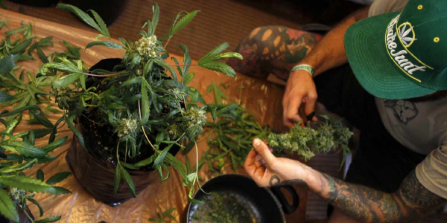 La Grèce s&rsquo;apprête à autoriser le cannabis médical