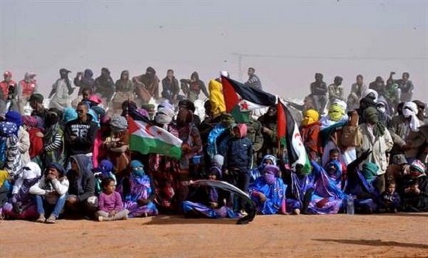 En 2017, la cause sahraouie a engrangé bien des succès dans l&rsquo;UE