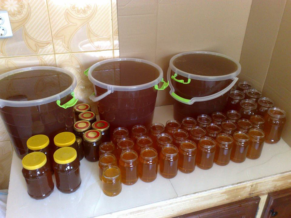 Souk Ahras: recul de la production du miel en 2017