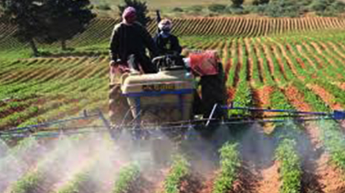 Le spectre de la G.C.A plane sur Deldoul