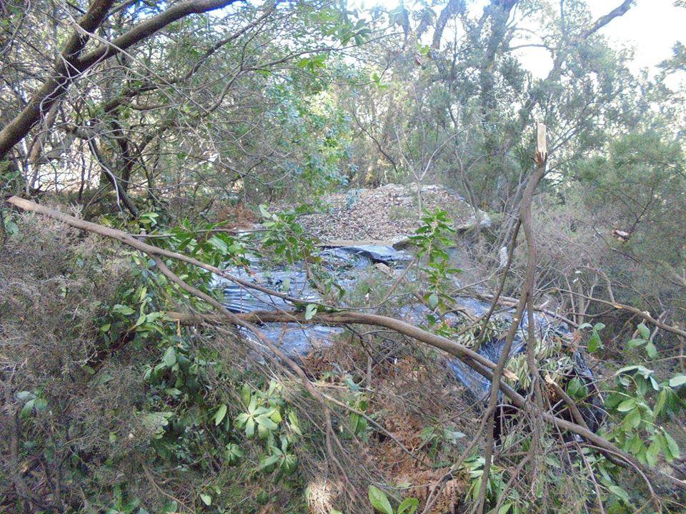 Algérie: Le responsable média d’AQMI abattu à Jijel (Photos)