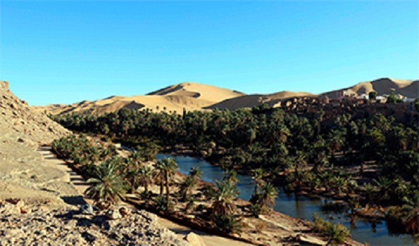 Bechar : Ouverture prochaine d&rsquo;un village touristique à Touzdit