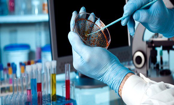 L&rsquo;hépatite B est bien une maladie ancienne