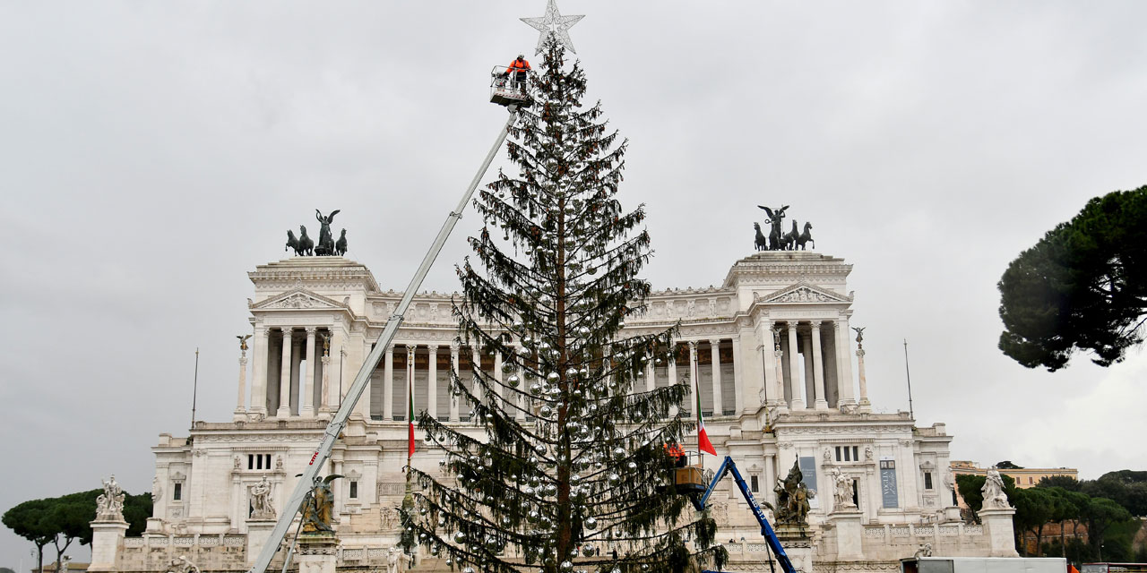 Il a un compte Twitter et pourrait finir au musée – Rome : la vengeance de l&rsquo;arbre de Noël “déplumé”