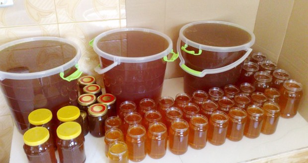 Marché du miel à Chlef : Un produit de qualité pour encourager à consommer local