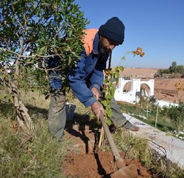 Il annonce un plan gouvernemental spécial pour «BOOSTER» l&rsquo;activité à ouargla : Necib au secours de l&rsquo;agriculture sahraouie
