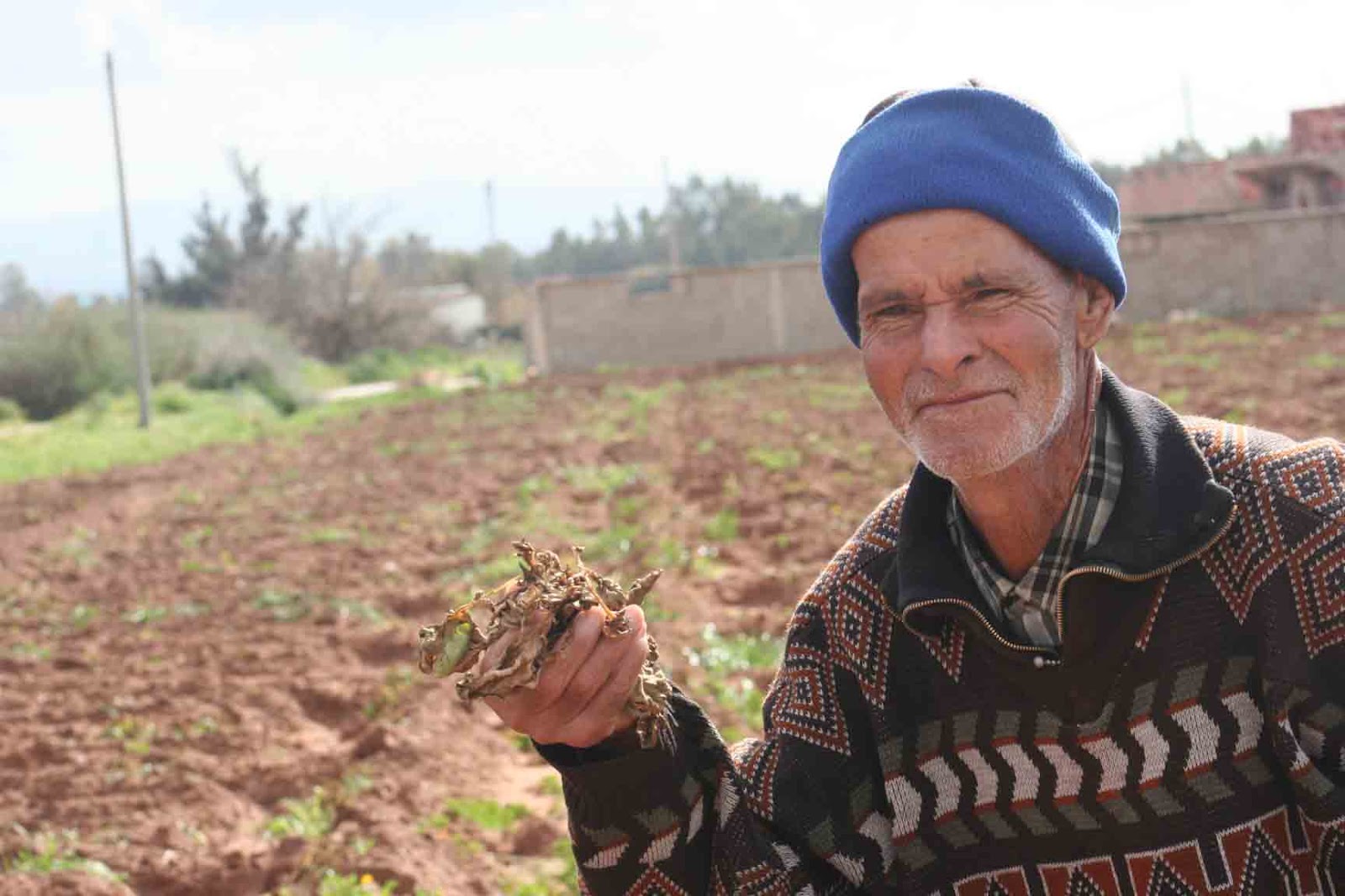 Prés de 5000 fellahs satisfaits a Tiaret !