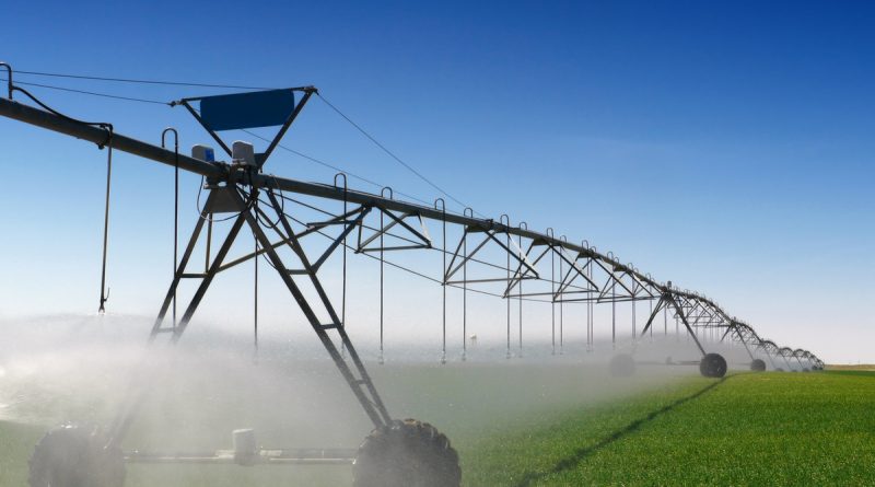 Assainissement du foncier agricole : 25 000 hectares de terres restituées