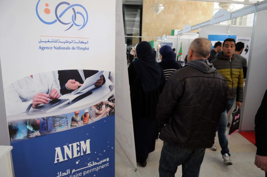 Tébessa: Plus de 7.800 demandeurs d’emploi placés par l’ANEM