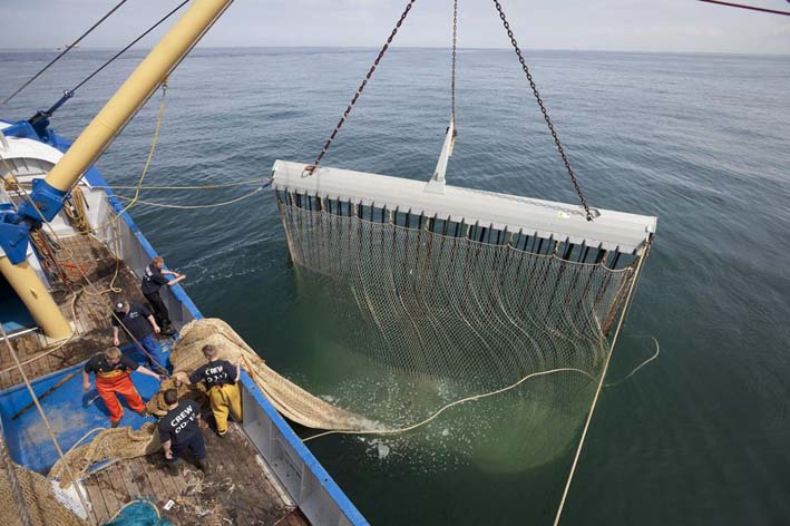 Pêche industrielle : L’UE accusée d’avoir cédé à des lobbies