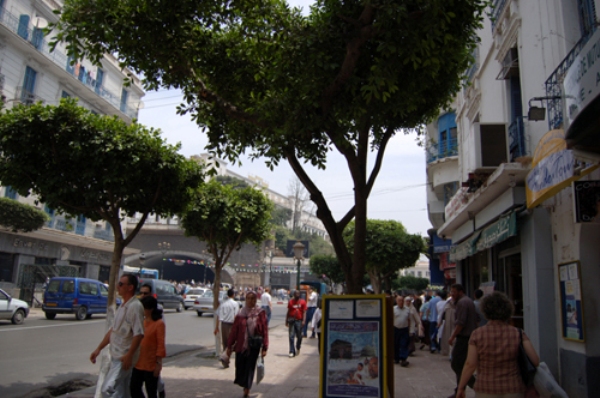 64% des Algériens favorables à la laïcité