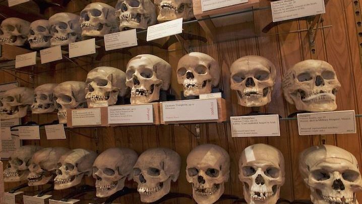 Zitouni : Une commission technique pour la restitution des crânes des résistants algériens est à pied d’œuvre