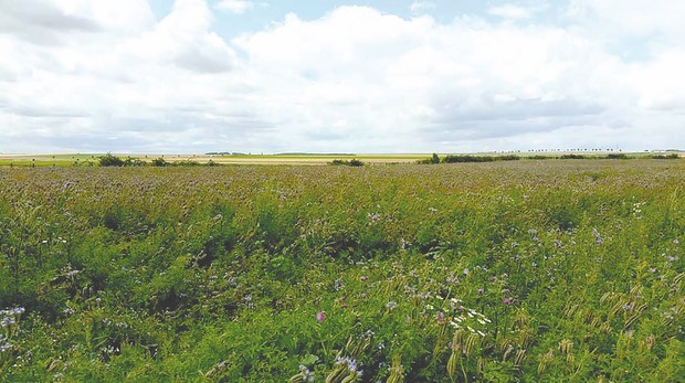 Terres agricoles inexploitées et abandonnées par les bénéficiaires 200 000 hectares récupérés