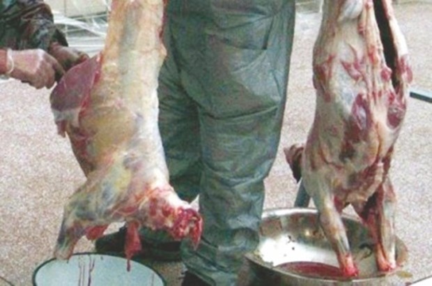 En l’absence d’abattoirs appropriés : L’abattage clandestin se poursuit à Mascara