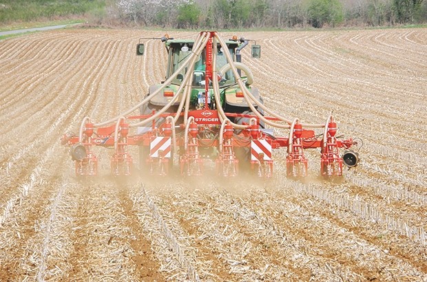 Terres agricoles en Jachère à Sétif : 7 000 ha récupérés