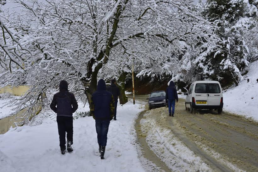 Chutes de neige sur 9 wilayas du Nord ce vendredi (BMS)