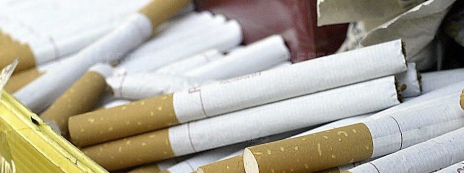 Tébessa : 45.000 paquets de cigarettes saisis