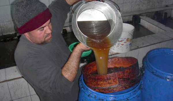 Béjaïa : Impactée par les incendies, la production oléicole en baisse de deux millions de litres