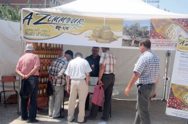 Boumerdès : Malgré une bonne production, le Salon de l’huile d’olive à Beni Amrane n’a pas attiré la foule