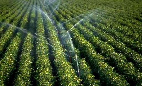 Bouazghi: nécessité de l’adaptation des agriculteurs à l’économie des eaux d’irrigation