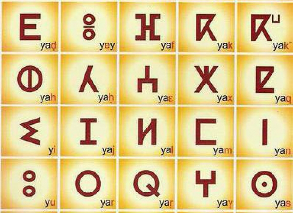 Le chaoui entre enseignement et pratique au quotidien