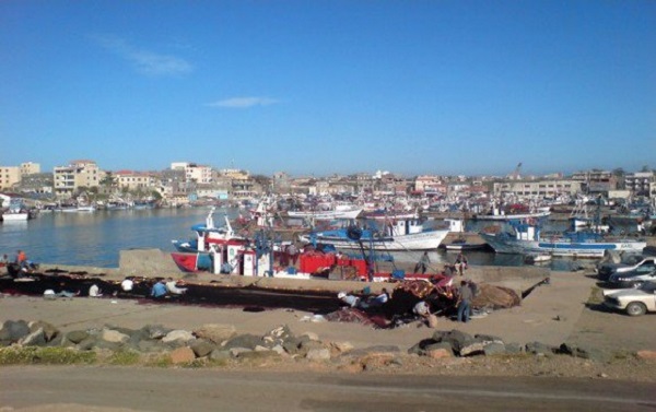 Le port de Zemmouri El Bahri se lance dans l&rsquo;exportation