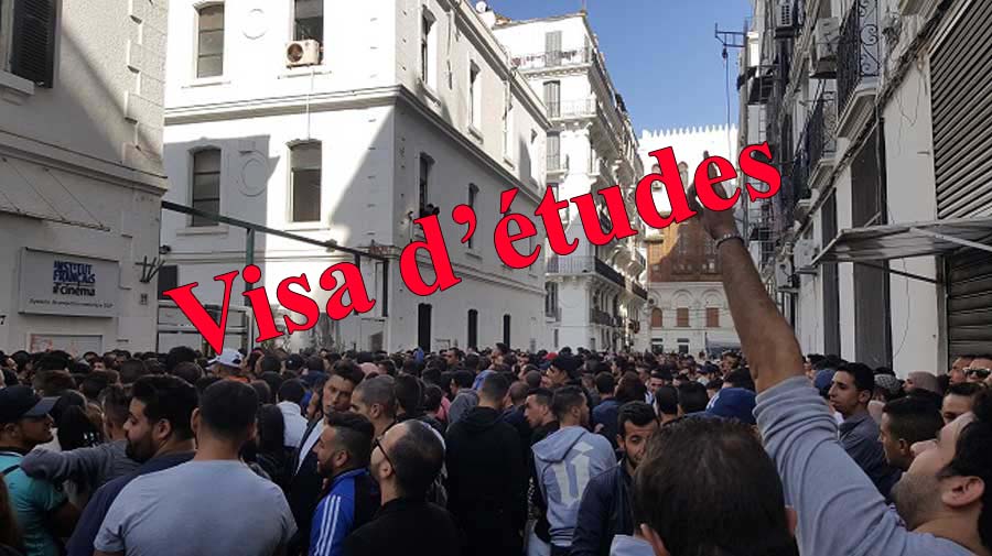 Visa d’études  Campus France Algérie fixe un délai pour les dépôts de
