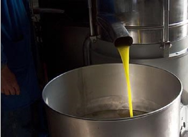 L&rsquo;algérie au 7e rang mondial de production d&rsquo;olive : Mais quelle place à l&rsquo;export?