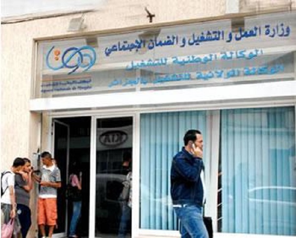 Demandes d’emplois déposées auprès de l&rsquo;anem : Les requêtes traitées en cinq jours